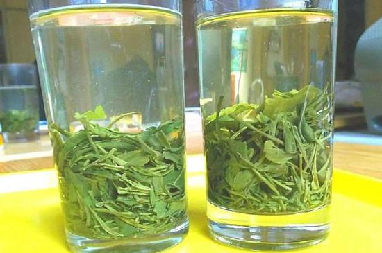 茶葉為什么不能亂送人，買茶葉一次送一盒還是兩盒