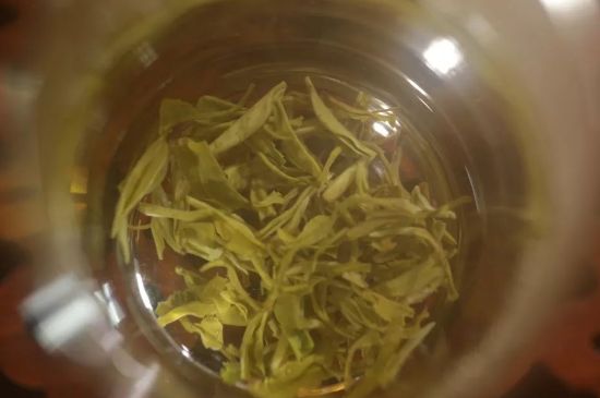 碧螺春正確泡法和飲用，碧螺春茶泡茶方法與溫度