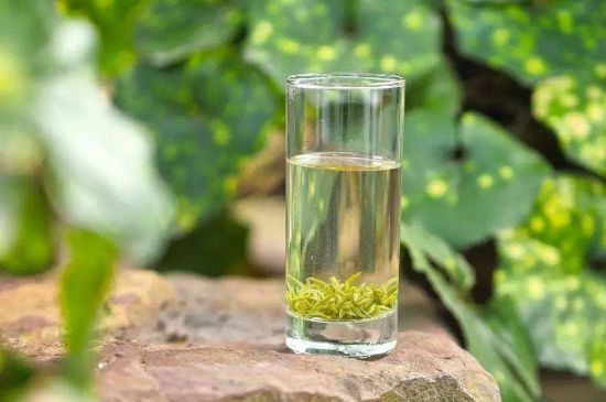 碧螺春沖泡三要素，碧螺春怎么泡才正確？