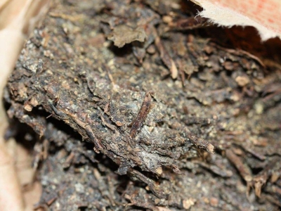 長期飲用黑茶的副作用，黑茶的功效與作用