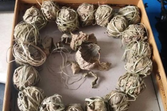 鷓鴣茶用拆開(kāi)泡嗎，鷓鴣茶要解開(kāi)繩子泡嗎