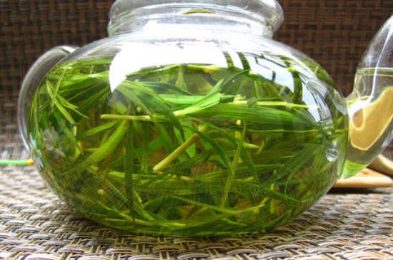 竹葉茶的禁忌，竹葉泡茶的功效禁忌