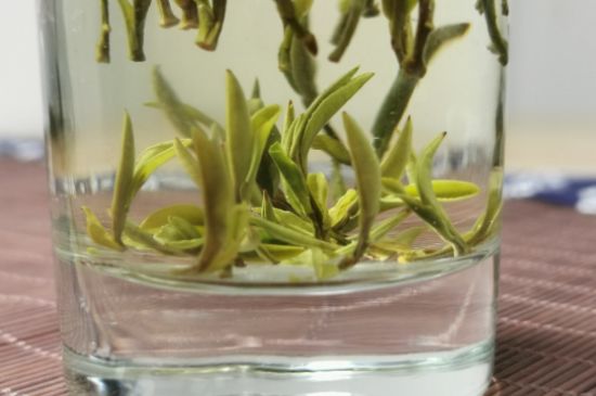 黃山毛峰怎么沖泡，黃山毛峰要多少溫度的水泡？