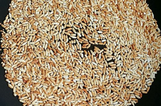 玄米茶是紅茶嗎，玄米茶怎么喝