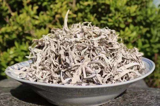 麗江雪茶的功效與作用，白雪茶有什么功效和作用