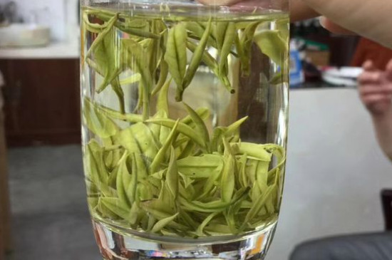 茶葉過期5年了但沒開封，茶葉放久了能喝嗎