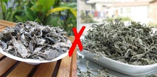 張家界茅巖莓茶與藤茶是同一種茶嗎，藤茶跟莓茶一不一樣？