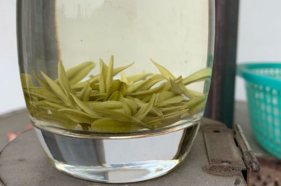 安吉白茶耐寒嗎，白茶適合放冰箱嗎