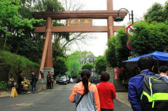 杭州買龍井茶攻略，怎么買到正宗的西湖龍井？