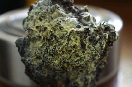 涇渭茯茶保質(zhì)期多久，陜西涇渭茯茶能放幾年