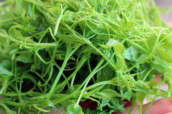 茅巖莓茶保質(zhì)期有多久，張家界莓茶存放時間長了還能喝嗎？