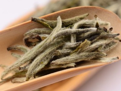 白毫銀針放幾年最好，白毫銀針什么年份最好？