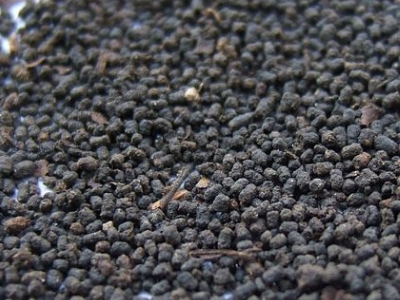 圓形顆粒狀茶是什么茶，像飼料一樣一粒粒的是什么茶？