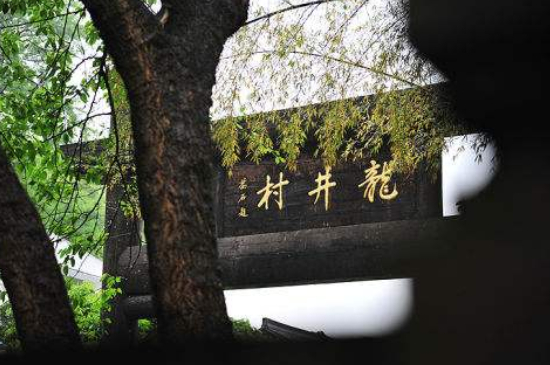 杭州買龍井茶攻略，怎么買到正宗的西湖龍井？