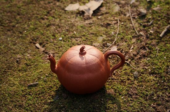 紫砂壺泡什么茶最佳，紫砂壺一般泡什么茶？