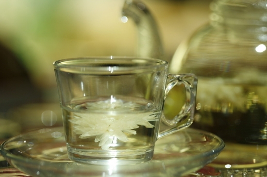 菊花茶天天喝行嗎，每天喝菊花泡茶喝好嗎？