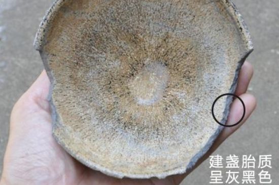 假建盞的特點(diǎn)，真假建盞區(qū)分帶圖