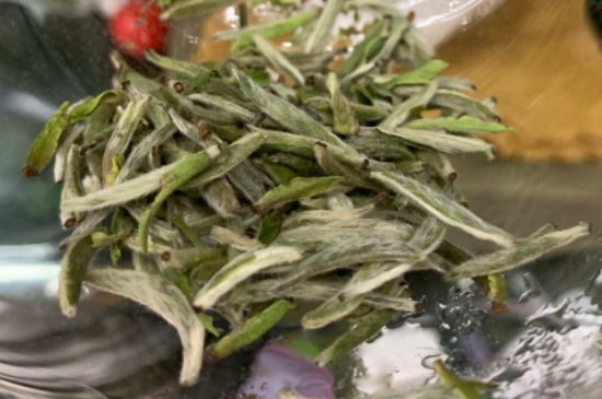 蒸汽煮茶器適合什么茶，蒸汽煮茶器適合用綠茶嗎？