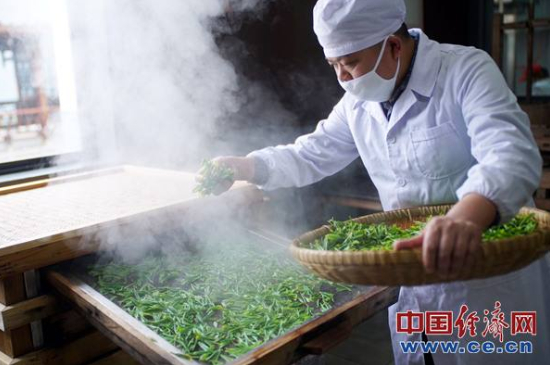 炒青綠茶與綠茶的區(qū)別，烘青和炒青哪個好喝？