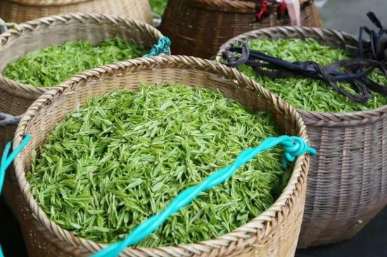 茶葉怎么炒制才香，怎樣炒茶葉更香？