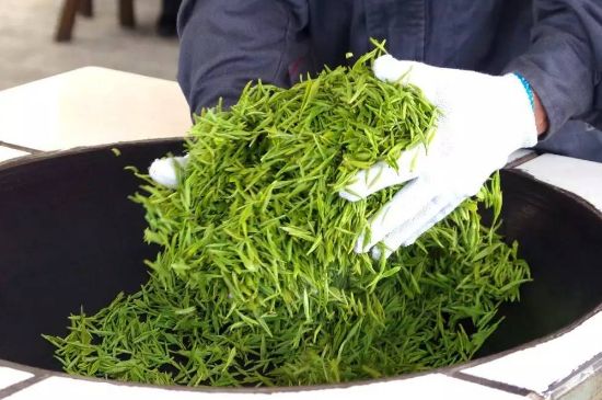 自家炒茶葉怎么炒，自己炒茶葉的步驟