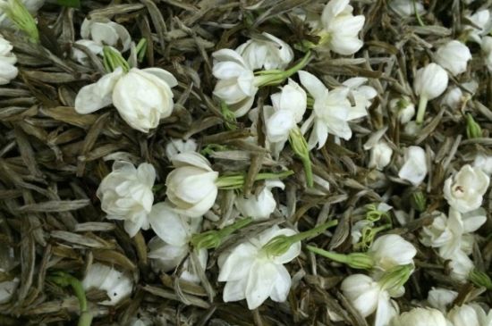 茉莉銀針口感，茉莉銀針是什么味道？