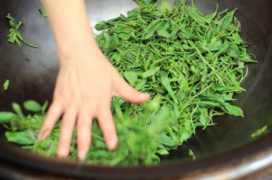 炒青綠茶與綠茶的區(qū)別，烘青和炒青哪個好喝？
