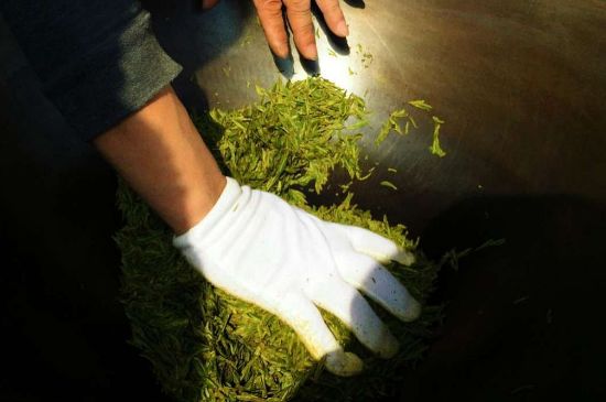 茶葉怎么炒制才香，怎樣炒茶葉更香？