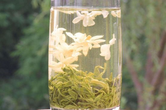 茉莉龍珠可以和什么一起泡茶，茉莉龍珠茶能加蜂蜜嗎？