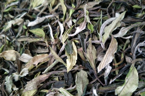 福鼎白茶貢眉和壽眉的區(qū)別，壽眉與貢眉有什么區(qū)別