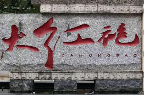 母樹大紅袍給誰喝了，為什么母樹大紅袍叫三棵六株？