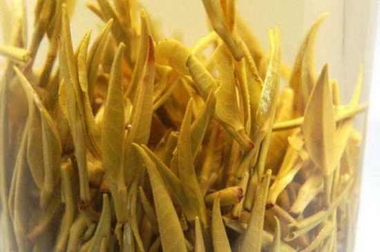 黃茶不適合哪些人喝，黃茶的功效與作用禁忌