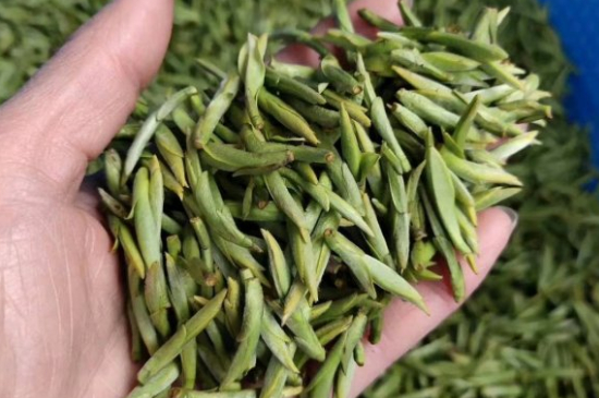 龍井茶好壞的鑒別圖片，如何區(qū)別龍井茶的好壞？