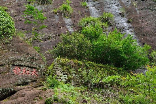 武夷巖茶大紅袍，喝起來(lái)是什么味道？