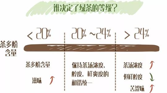 什么綠茶口味重口感濃郁，口味比較重的綠茶都有那些？