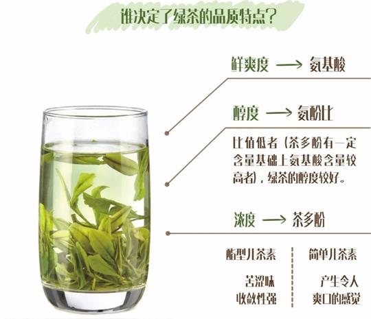 什么綠茶口味重口感濃郁，口味比較重的綠茶都有那些？
