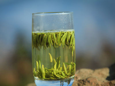 竹葉青茶怎么樣，檔次較高味道略苦價(jià)格比較貴