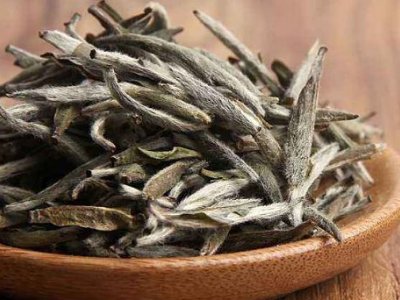 白茶有哪些品種排名，<a href=http://www.czsdfxx.com/fenlei/baicha/ target=_blank class=infotextkey>白茶的種類</a>大全