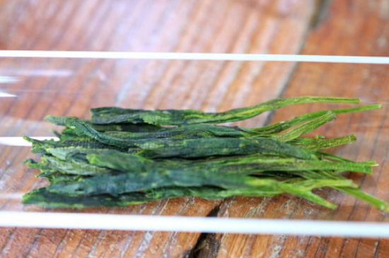 什么綠茶最香最好喝，綠茶口感與香氣排名