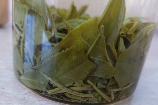 綠茶陳茶和新茶區(qū)別，綠茶怎樣區(qū)分新茶和陳茶