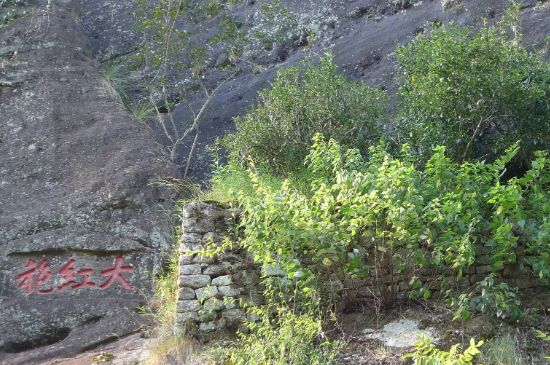 母樹大紅袍給誰喝了，為什么母樹大紅袍叫三棵六株？