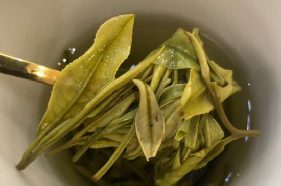 新舊白茶怎么區(qū)分，怎么分辨白茶是新還是舊