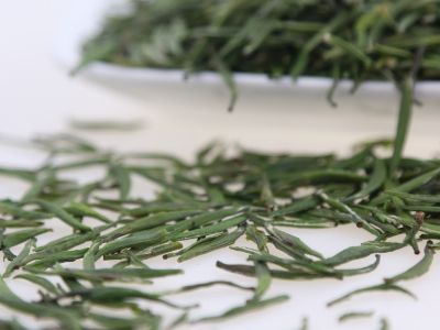 霍山黃芽算是好茶嗎，霍山黃芽屬于什么茶？