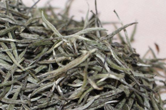 什么人不能喝白茶，白茶不宜什么人喝？