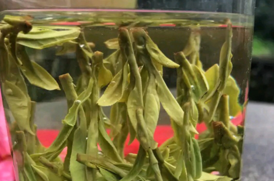 什么綠茶最香最好喝，綠茶口感與香氣排名