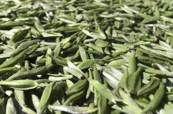 白毫銀針年份久的有什么香，陳年白毫銀針的香氣