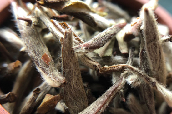 白毫銀針年份越久越好嗎，銀針白毫是否越陳越好