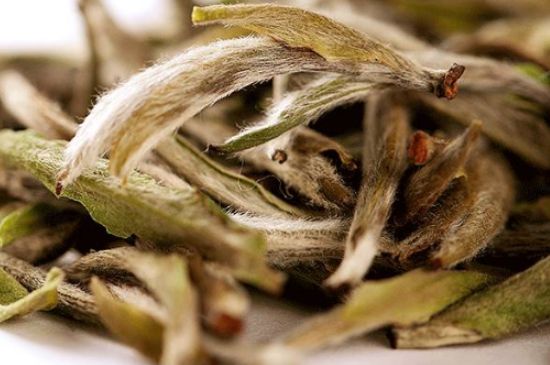 荒野銀針有什么特點(diǎn)，荒野銀針的味道口感咋樣？