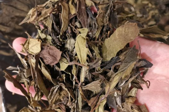 新舊白茶怎么區(qū)分，怎么分辨白茶是新還是舊