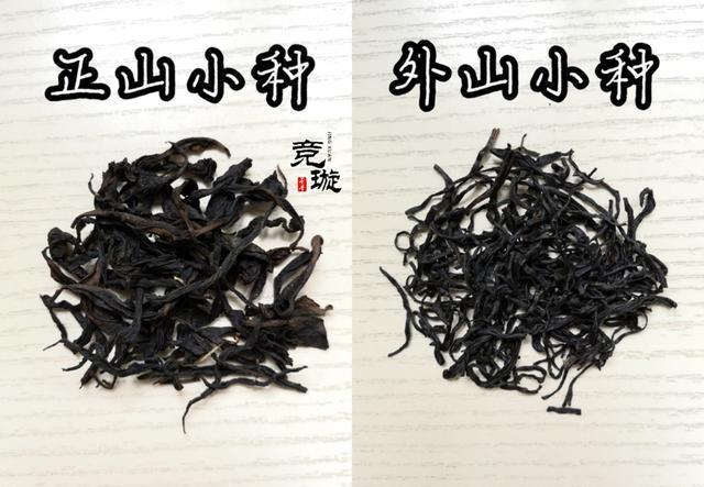 正山小種很細還很黑亮，正山小種越細越好嗎